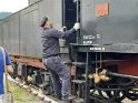 trenino (62)