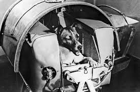 Laika