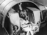Laika.jpg